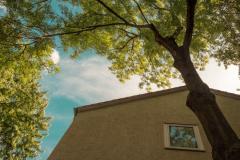 arbre-plus-10-metres-voisin-loi-seloger