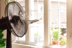 Film solaire sur vos fenêtres : gadget ou bonne idée ?