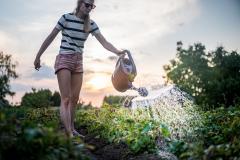 Comment et pourquoi récupérer les eaux de pluie