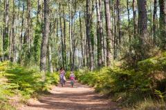 Landes