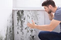 Un homme découvre avec inquiétude des marques importantes de moisissure sur les murs de son appartement