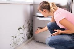 Une femme blonde découvre choquée des traces de moisissure sur l'un des murs de sa cuisine