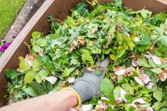 Des trésors verts à exploiter