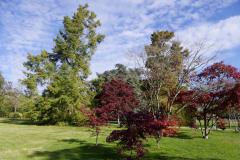 Rennes parc Gayeulles