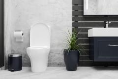 Tips pour neutraliser les mauvaises odeurs d'un WC