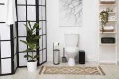 Des WC à la pointe des tendances