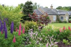 Maison de campagne sur un jardin fleuri. 