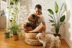 Les plantes nocives pour les chiens et chats