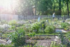 Tourcoing quartier la bourgogne jardin