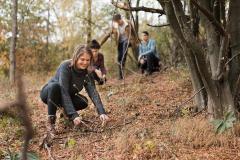 Ramasser du bois en forêt, est-ce vraiment autorisé ?