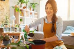 Bouturer certaines plantes en janvier est une stratégie gagnante pour obtenir un jardin et un intérieur végétalisé luxuriant dès l'arrivée du printemps. © SrdjanPav - Getty images