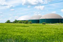 Le gaz vert est un gaz produit à partir de déchets organiques, et qui est donc d'origine renouvelable. © Animaflora - Getty images