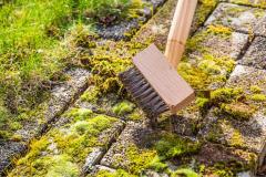 Mousse sur la terrasse : pourquoi elle s’installe et comment l’éliminer ?