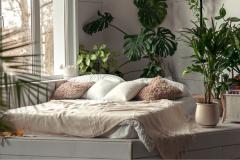 7 plantes à mettre dans votre chambre pour mieux dormir.