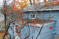 Une maison à la façade en bois bleu a subi des dégâts à la suite de la chute d'un arbre 