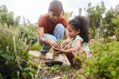 Il existe des livres adaptés à chaque profil de jardinier et chaque projet : profitez-en pour vous lancer dans le jardinage avec les meilleurs conseils. © Goodboy Picture Company - Getty images