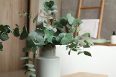 L'eucalyptus, une plante incontournable pour parfumer votre intérieur.