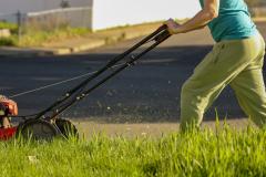 À quel moment tondre la pelouse pour la première fois après l'hiver ?