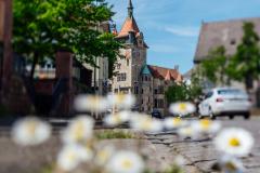 Haguenau meilleurs quartiers