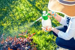 Les meilleures recettes d'insecticides naturels
