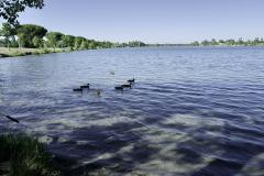 Tournefeuille Haute Garonne meilleurs quartiers