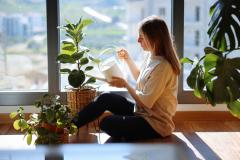 7 plantes d'intérieur méconnues que vous ne verrez pas chez vos voisins.