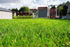 Vue sur une pelouse avec une herbe haute à l'arrière d'une maison individuelle