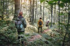 Ces 7 forêts sont idéales pour une balade en Île-de-France. © Getty Images