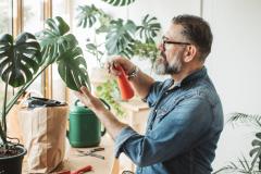 Bicarbonate de soude : le produit du placard qui soigne vos plantes.