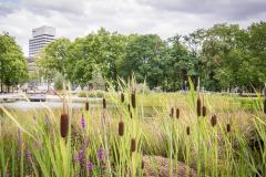 Les prix immobiliers et tendances à Cergy