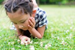 Une fillette allongée dans l'herbe observe des fleurs de trèfle blanc