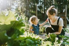 No-dig : jardiner sans retourner la terre, ça marche vraiment ?