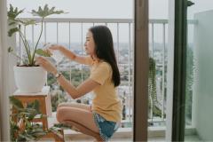 Balcon orienté nord : 7 plantes décoratives qui n'ont pas besoin de soleil.