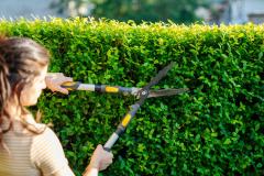 Jeune femme taillant la haie du jardin. 