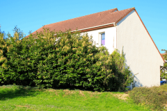 Entretien ou réparation du jardin et de la façade : qui paye quoi lors d'un contrat de location ? © Bruno Giuliani - Getty images