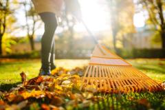 7 astuces simples pour préparer son jardin à l’automne.