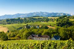 Analyse du marché immobilier à Jurançon en 2026