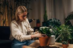 9 plantes qui adorent les pièces sombres.
