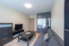 Petit appartement de location aux tons gris, avec un canapé, une table basse, une télévision et une commode. 