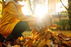 3 façons de recycler vos feuilles mortes au jardin.
