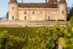Les 5 plus beaux domaines viticoles en France
