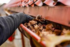 Gouttières : le nettoyage à faire avant les pluies d'automne.