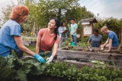 Comment obtenir une parcelle dans un jardin partagé ?