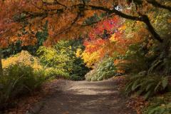 5 arboretums pour contempler les couleurs d'automne