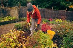 Que faire au jardin en octobre