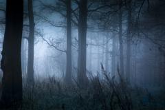 Lieux hantés en France à visiter pour Halloween
