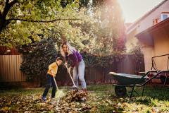 Petits travaux avant hiver