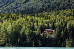 Acheter une maison près d’une forêt : les vérifications à faire avant de signer.