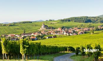 Les 6 plus beaux endroits à découvrir en Alsace