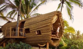 Une cabane écologique construite en bambou à découvrir au Mexique